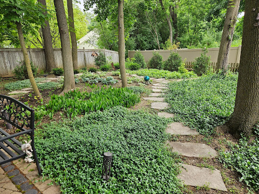 Backyard patio with layered plantings and string-lit deck